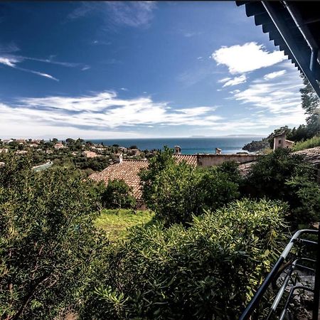 Petite Maison De Vacance Vue Mer Le Lavandou Dış mekan fotoğraf